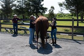 LR-WRF 08022025-Retreat-3074